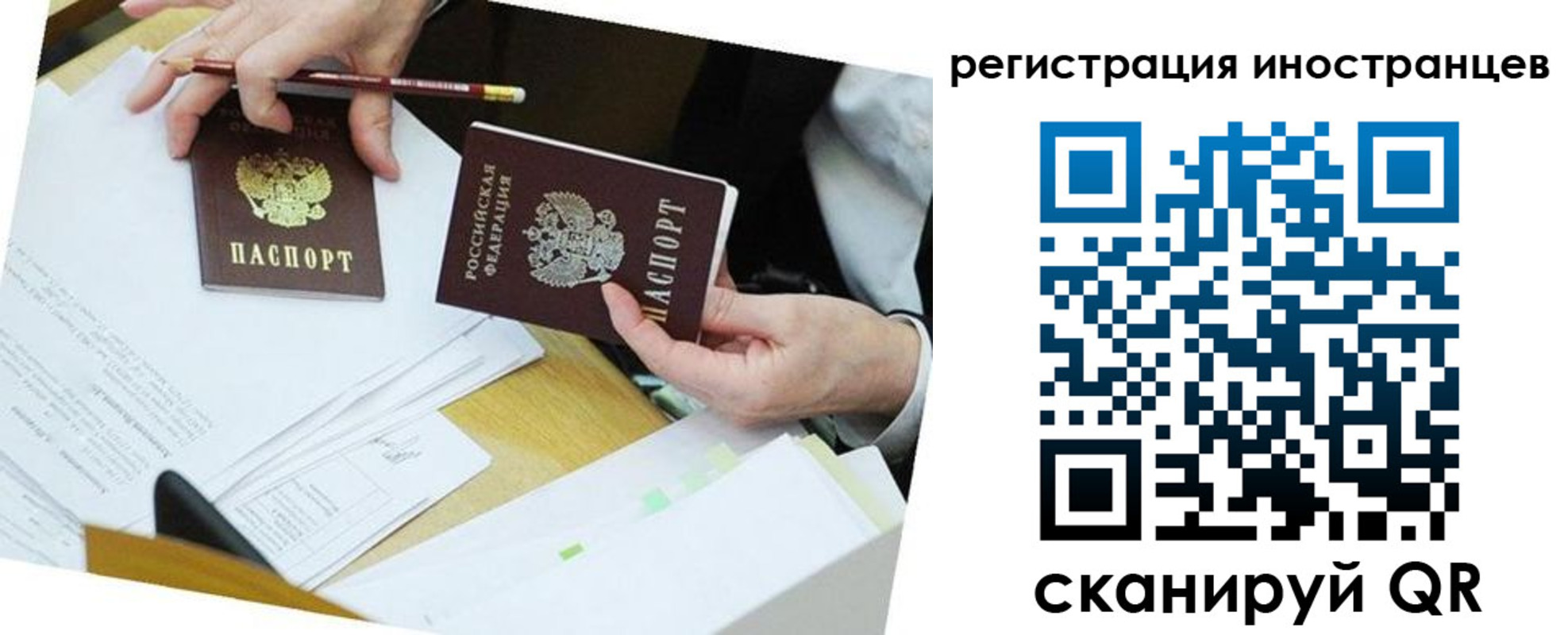 прописка ребенка в Шилке
